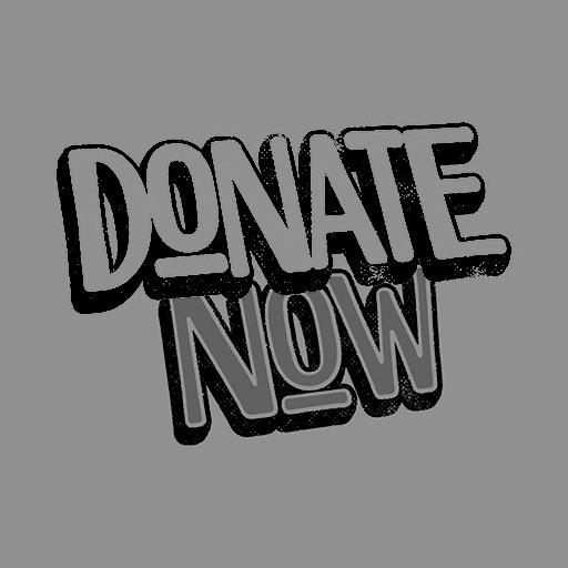 Donate Now graphic image
